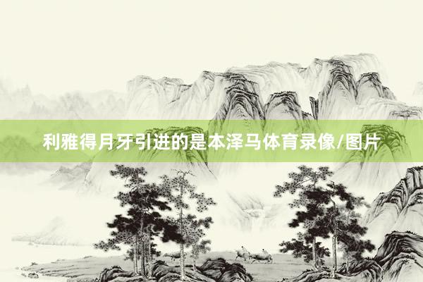 利雅得月牙引进的是本泽马体育录像/图片