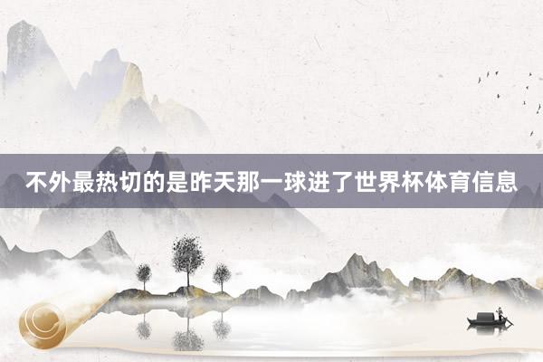 不外最热切的是昨天那一球进了世界杯体育信息