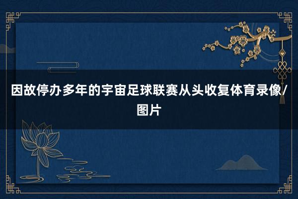因故停办多年的宇宙足球联赛从头收复体育录像/图片