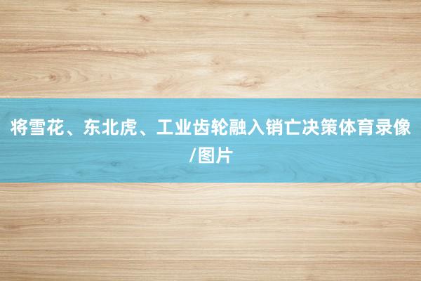 将雪花、东北虎、工业齿轮融入销亡决策体育录像/图片