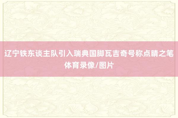 辽宁铁东谈主队引入瑞典国脚瓦吉奇号称点睛之笔体育录像/图片