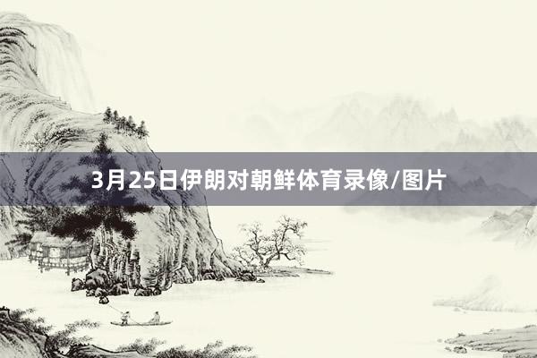 3月25日伊朗对朝鲜体育录像/图片
