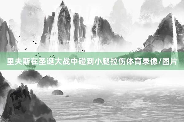 里夫斯在圣诞大战中碰到小腿拉伤体育录像/图片
