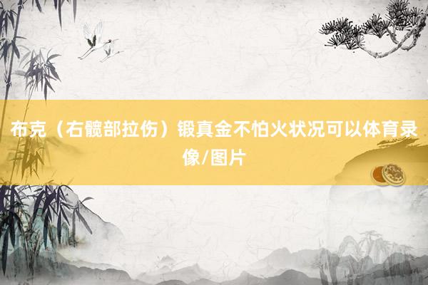 布克（右髋部拉伤）锻真金不怕火状况可以体育录像/图片