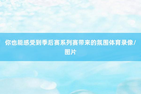 你也能感受到季后赛系列赛带来的氛围体育录像/图片