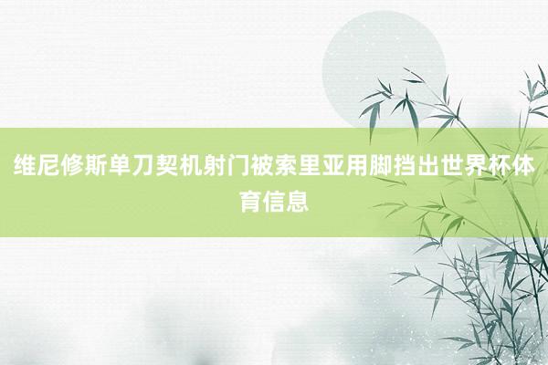维尼修斯单刀契机射门被索里亚用脚挡出世界杯体育信息