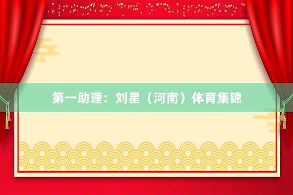 第一助理：刘星（河南）体育集锦