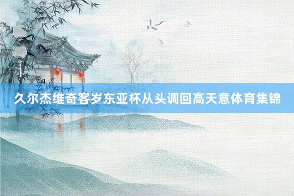 久尔杰维奇客岁东亚杯从头调回高天意体育集锦