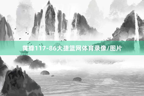 黄蜂117-86大捷篮网体育录像/图片