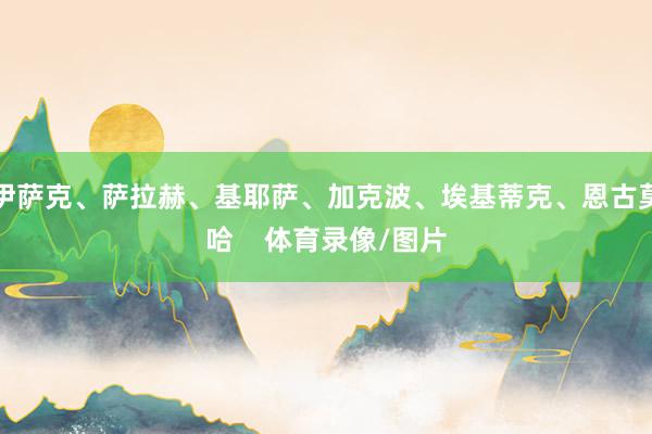 伊萨克、萨拉赫、基耶萨、加克波、埃基蒂克、恩古莫哈    体育录像/图片
