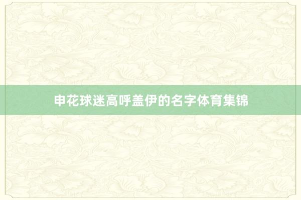 申花球迷高呼盖伊的名字体育集锦