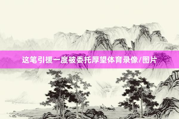 这笔引援一度被委托厚望体育录像/图片