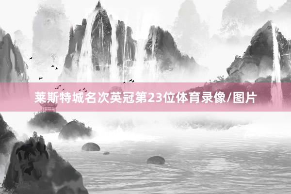 莱斯特城名次英冠第23位体育录像/图片
