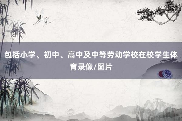 包括小学、初中、高中及中等劳动学校在校学生体育录像/图片