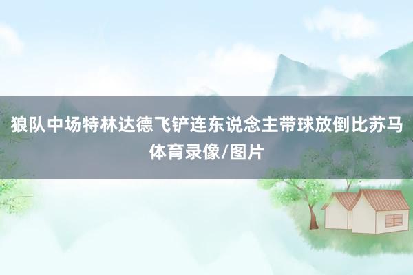 狼队中场特林达德飞铲连东说念主带球放倒比苏马体育录像/图片