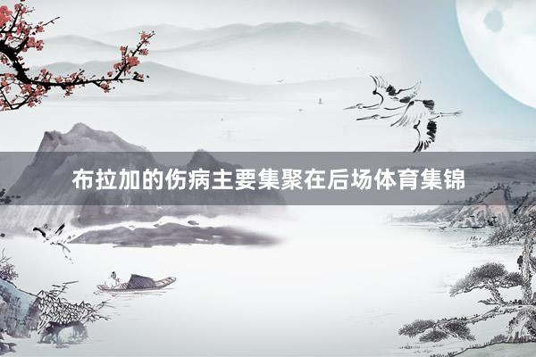 布拉加的伤病主要集聚在后场体育集锦