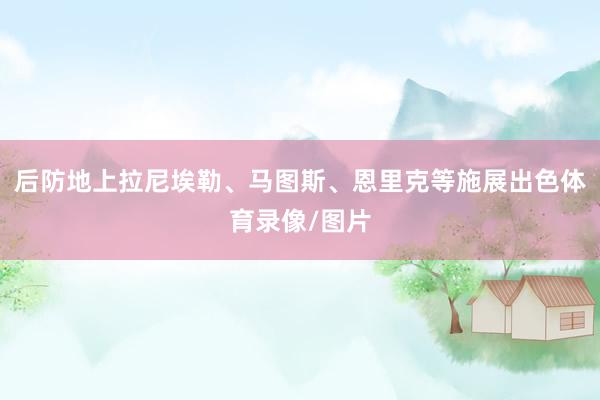 后防地上拉尼埃勒、马图斯、恩里克等施展出色体育录像/图片