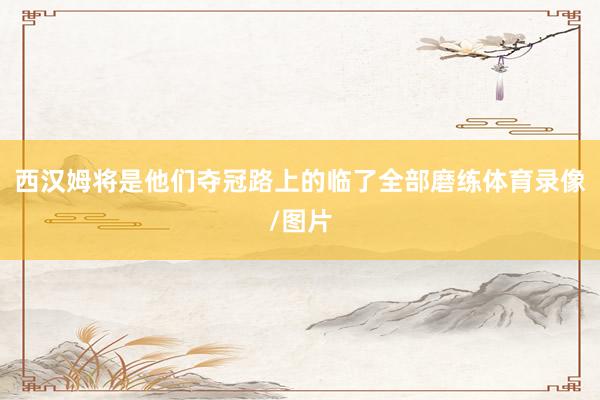 西汉姆将是他们夺冠路上的临了全部磨练体育录像/图片