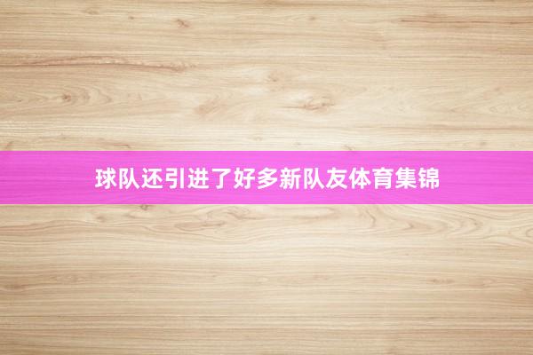 球队还引进了好多新队友体育集锦